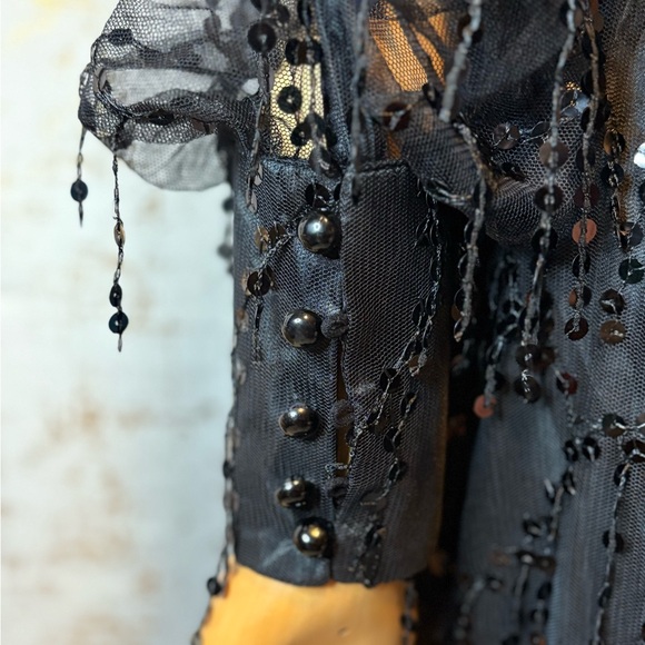 Elegant Black Sheer Evening Gown - Picture 7 of 12